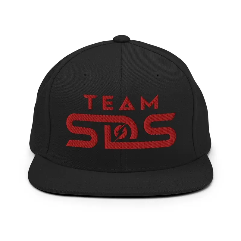 NEW Logo Snapback hat